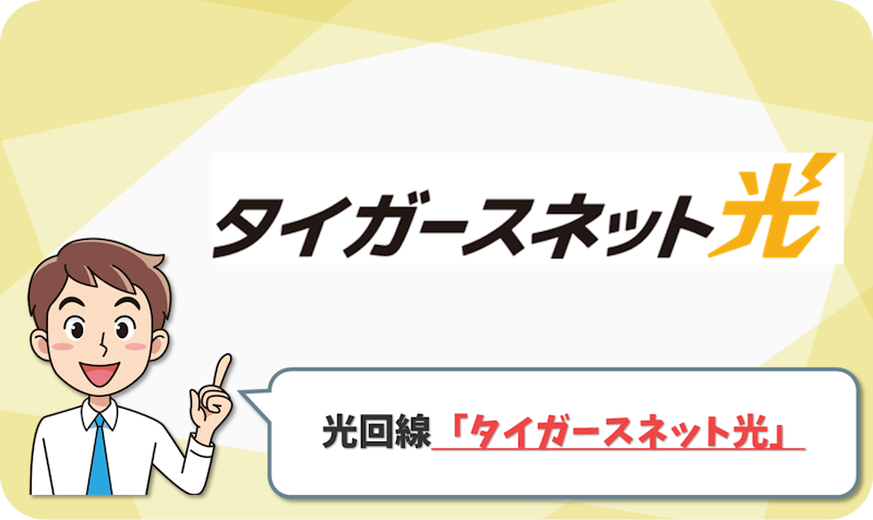 ⑧ 阪神ファンならこれ!甲子園チケットがもらえる「タイガースネット光」